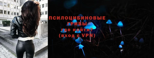 прущий лед Белокуриха