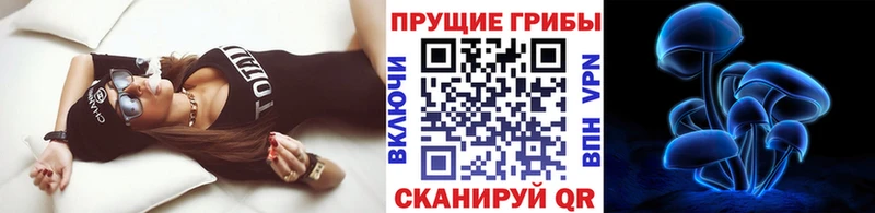 Псилоцибиновые грибы Magic Shrooms  Елабуга 