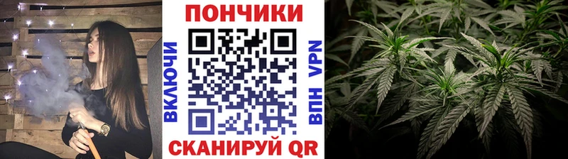 Бошки марихуана гибрид  где можно купить   Елабуга 